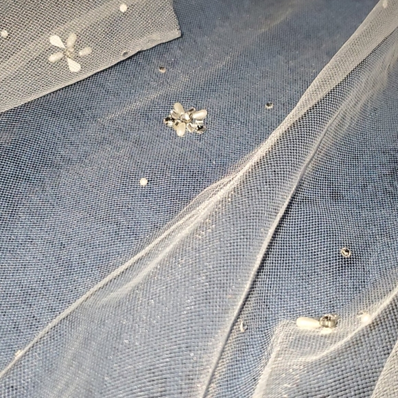 Veil - Picture 4 of 5